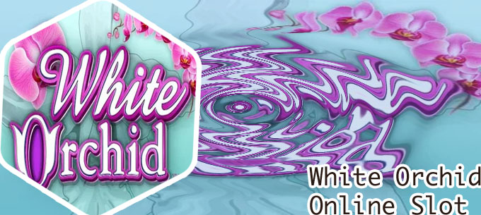 Wild orchid slot
